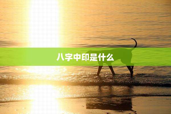 八字中印是什么