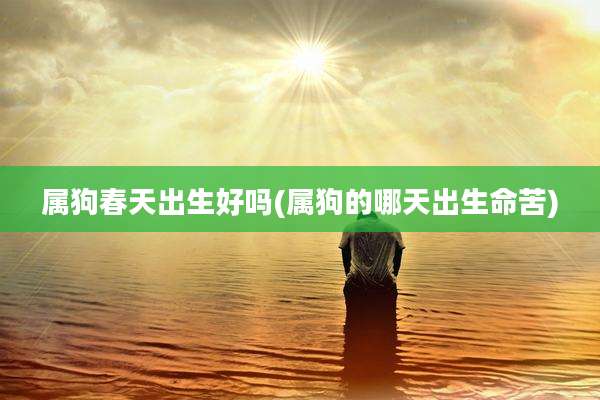 属狗春天出生好吗(属狗的哪天出生命苦)
