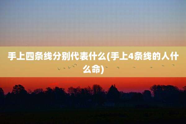 手上四条线分别代表什么(手上4条线的人什么命)