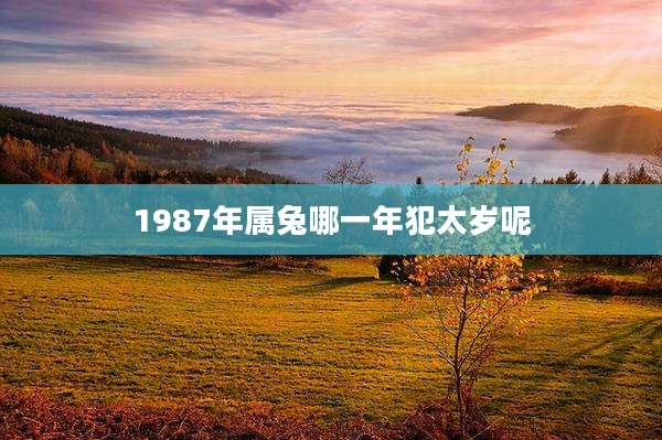 1987年属兔哪一年犯太岁呢