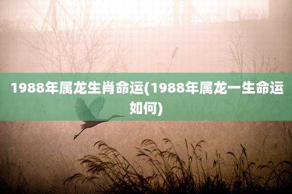 1988年属龙生肖命运(1988年属龙一生命运如何)