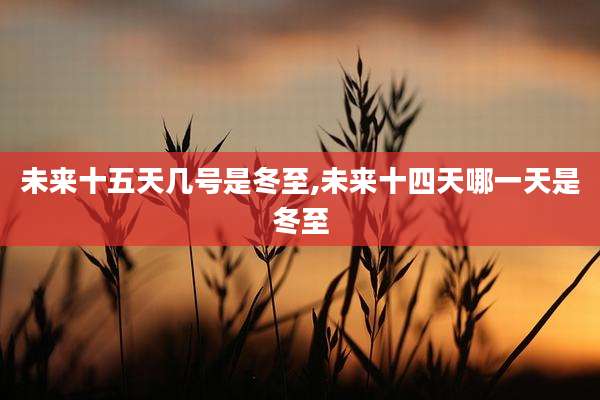 未来十五天几号是冬至,未来十四天哪一天是冬至