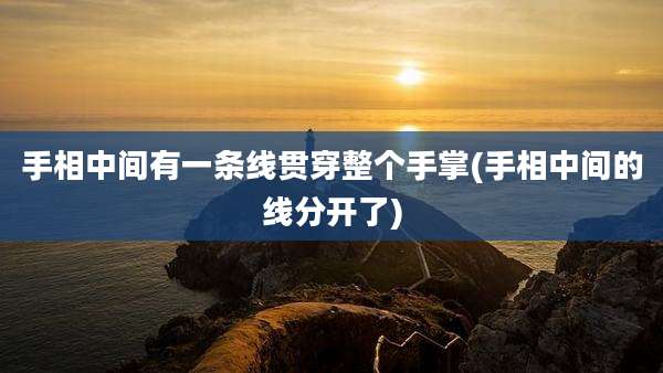 手相中间有一条线贯穿整个手掌(手相中间的线分开了)