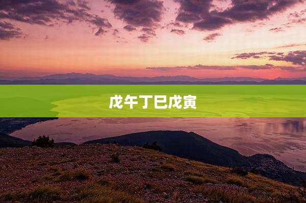 戊午丁巳戊寅