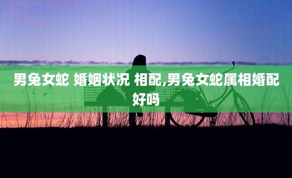 男兔女蛇 婚姻状况 相配,男兔女蛇属相婚配好吗