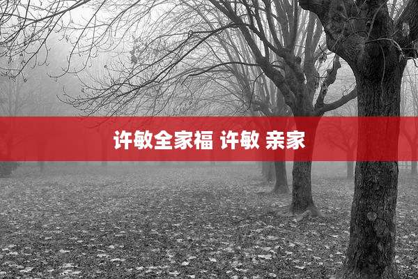 许敏全家福 许敏 亲家