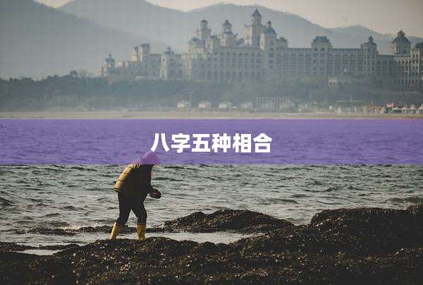 八字五种相合