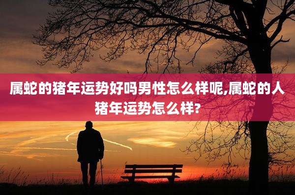 属蛇的猪年运势好吗男性怎么样呢,属蛇的人猪年运势怎么样?