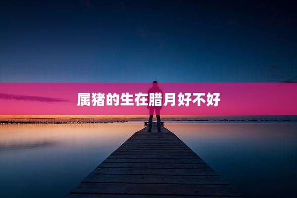 属猪的生在腊月好不好
