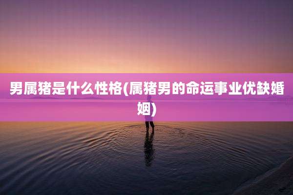 男属猪是什么性格(属猪男的命运事业优缺婚姻)