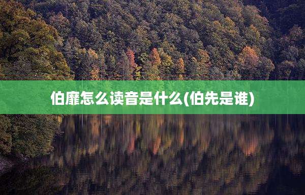 伯靡怎么读音是什么(伯先是谁)
