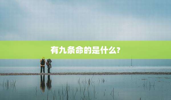 有九条命的是什么?