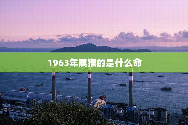 1963年属猴的是什么命