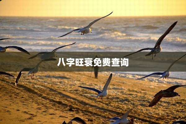 八字旺衰免费查询