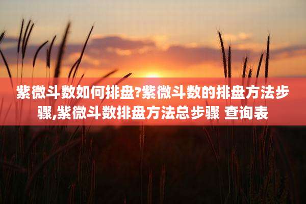 紫微斗数如何排盘?紫微斗数的排盘方法步骤,紫微斗数排盘方法总步骤 查询表