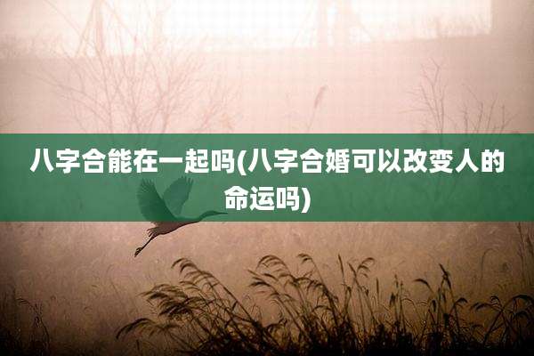 八字合能在一起吗(八字合婚可以改变人的命运吗)