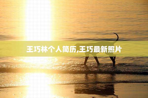 王巧林个人简历,王巧最新照片