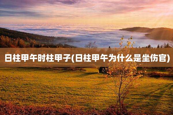 日柱甲午时柱甲子(日柱甲午为什么是坐伤官)