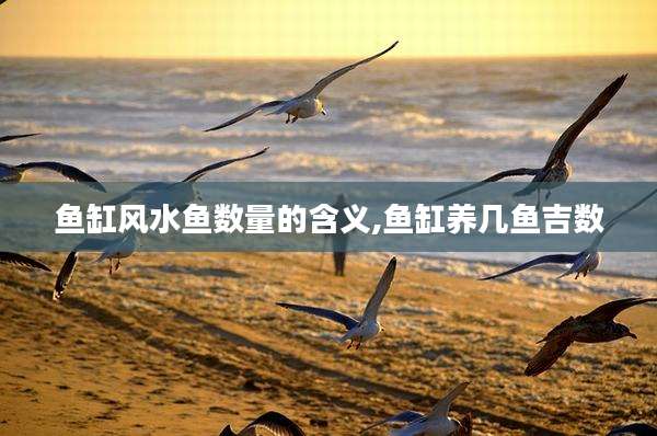 鱼缸风水鱼数量的含义,鱼缸养几鱼吉数