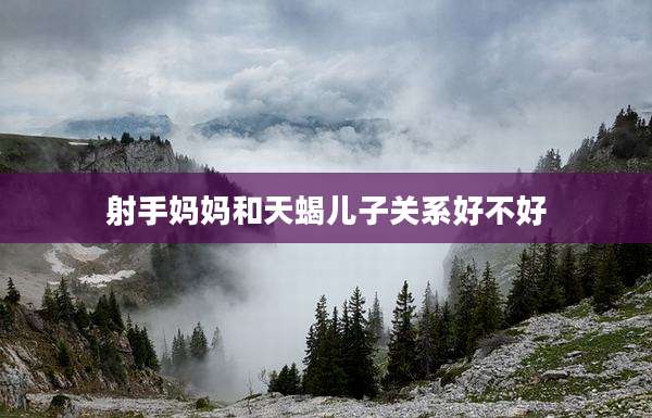 射手妈妈和天蝎儿子关系好不好