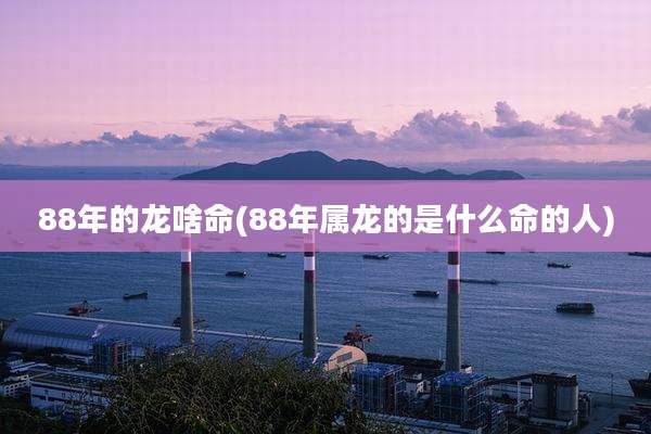 88年的龙啥命(88年属龙的是什么命的人)