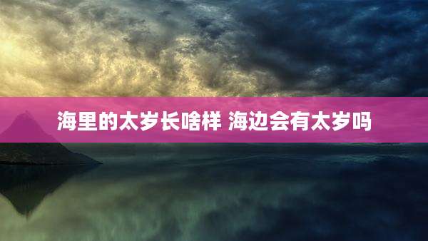 海里的太岁长啥样 海边会有太岁吗