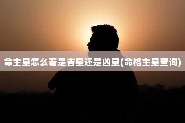命主星怎么看是吉星还是凶星(命格主星查询)