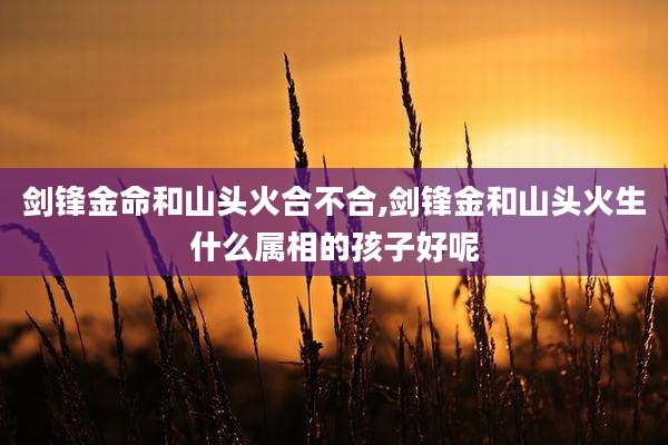 剑锋金命和山头火合不合,剑锋金和山头火生什么属相的孩子好呢