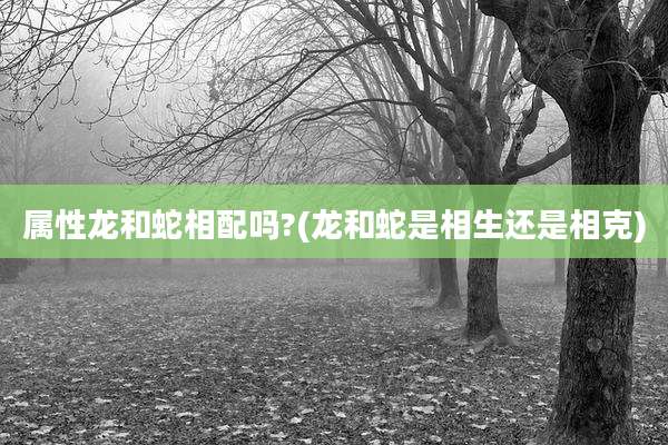属性龙和蛇相配吗?(龙和蛇是相生还是相克)