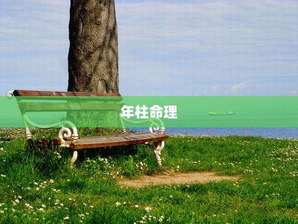年柱命理