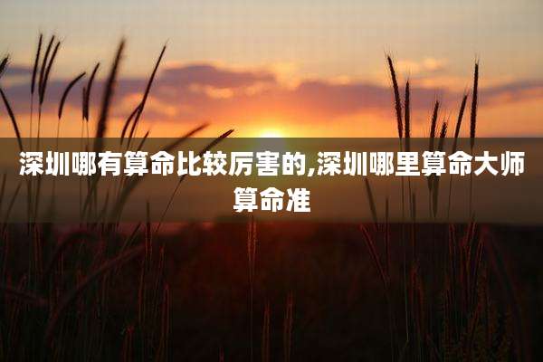 深圳哪有算命比较厉害的,深圳哪里算命大师算命准