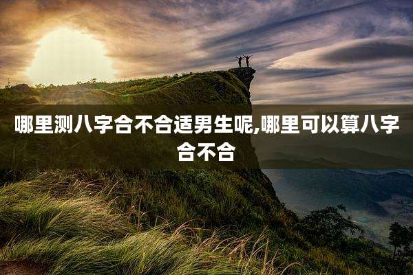 哪里测八字合不合适男生呢,哪里可以算八字合不合