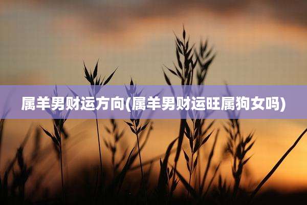 属羊男财运方向(属羊男财运旺属狗女吗)