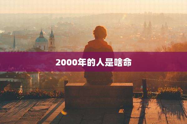 2000年的人是啥命