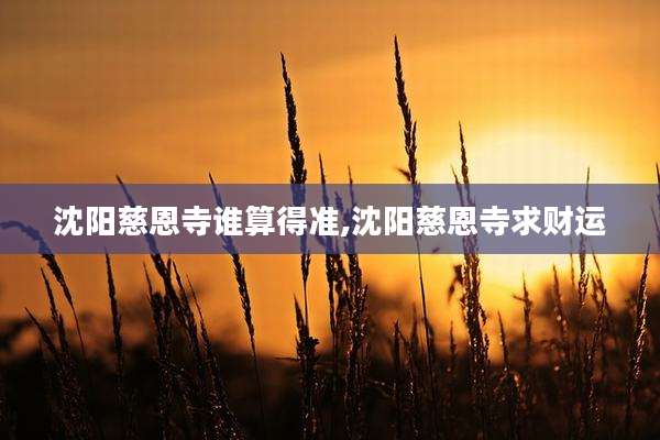 沈阳慈恩寺谁算得准,沈阳慈恩寺求财运