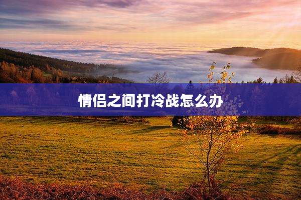 情侣之间打冷战怎么办
