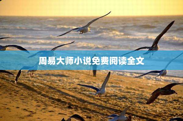 周易大师小说免费阅读全文