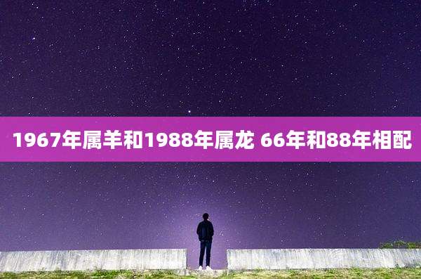 1967年属羊和1988年属龙 66年和88年相配