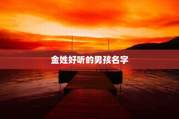 金姓好听的男孩名字
