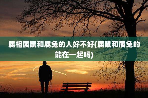 属相属鼠和属兔的人好不好(属鼠和属兔的能在一起吗)