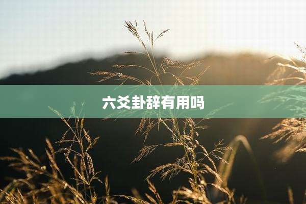 六爻卦辞有用吗