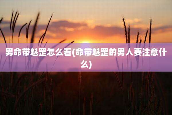 男命带魁罡怎么看(命带魁罡的男人要注意什么)