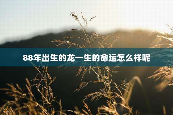 88年出生的龙一生的命运怎么样呢