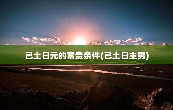 己土日元的富贵条件(己土日主男)