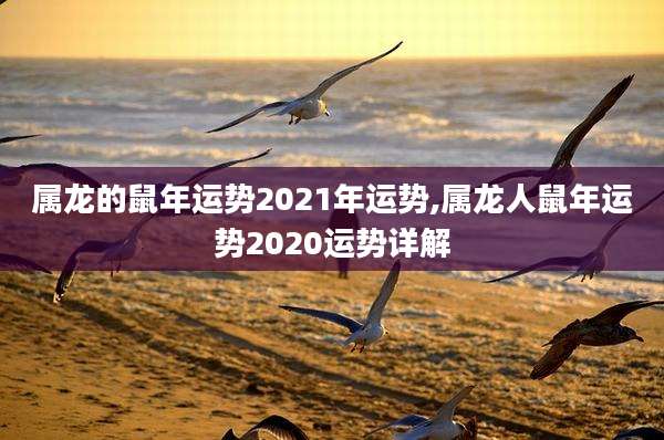 属龙的鼠年运势2021年运势,属龙人鼠年运势2020运势详解