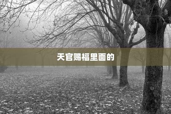 天官赐福里面的