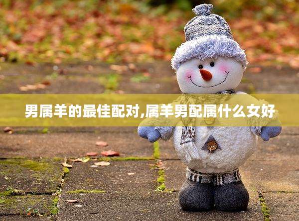 男属羊的最佳配对,属羊男配属什么女好