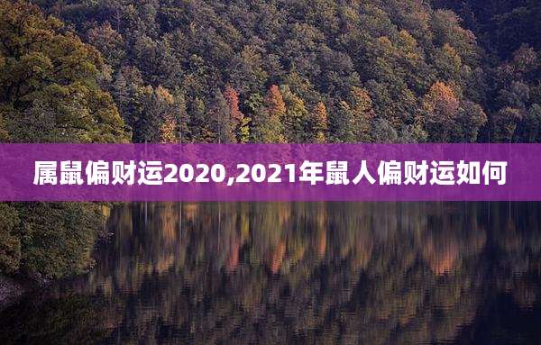 属鼠偏财运2020,2021年鼠人偏财运如何