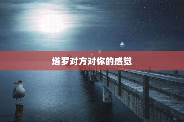 塔罗对方对你的感觉