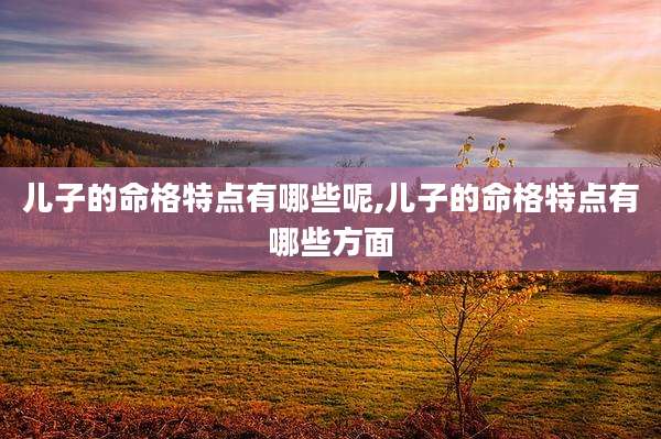儿子的命格特点有哪些呢,儿子的命格特点有哪些方面